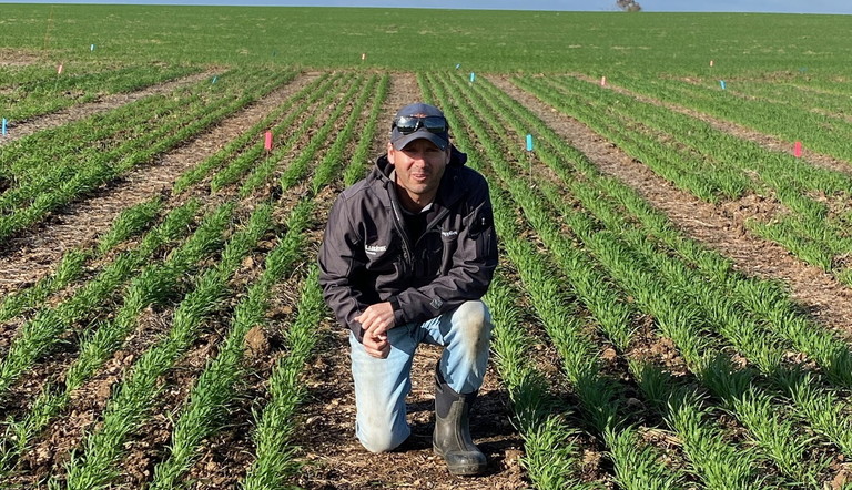 Jake Rademacher, Agronomist with Growers Supplies