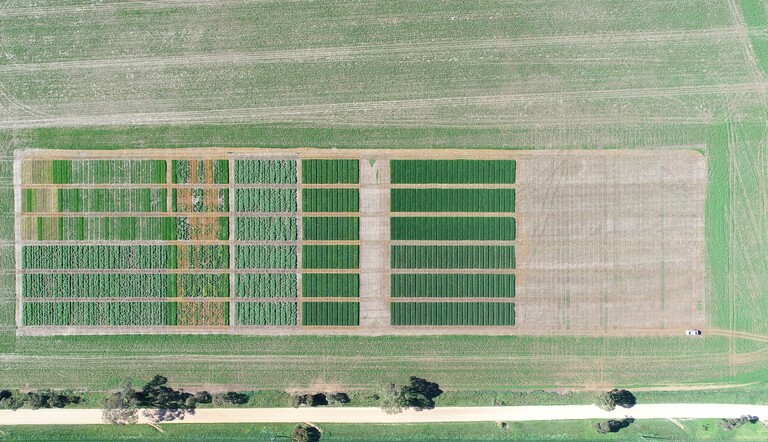 Elemental Enzymes Drone View 