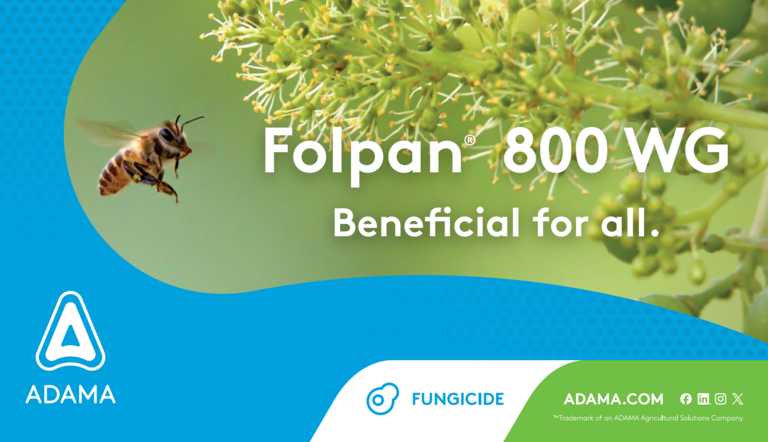 Folpan registered image.png
