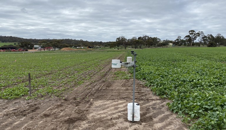 Pessl Station - Canola, WA.