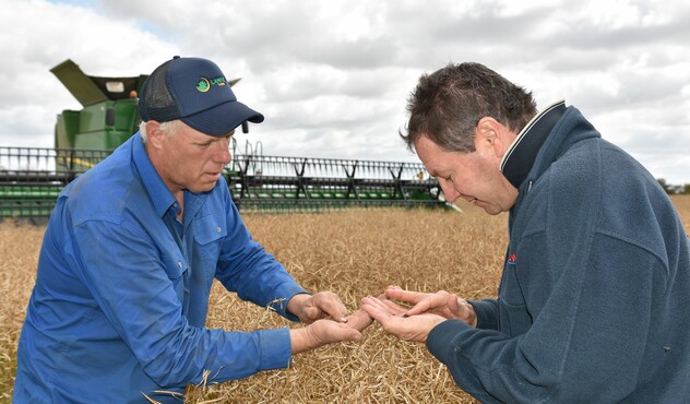 Katamatite grower Jarrod Lukies and James Murray,