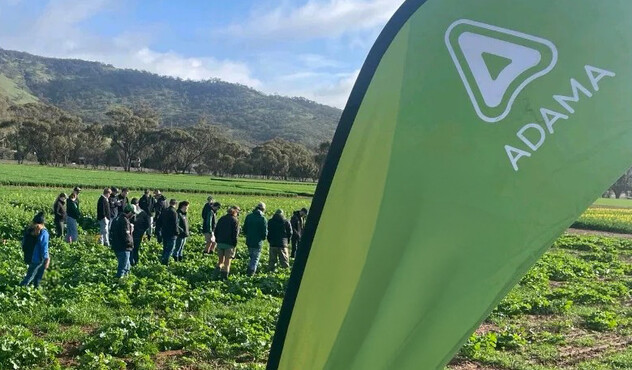 ADAMA field day with people standing in a crop field