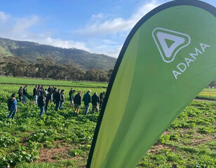 ADAMA field day with people standing in a crop field