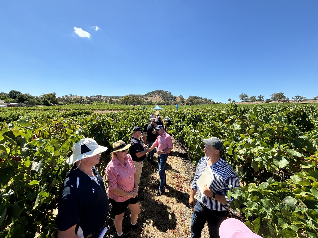 Folpan faraday trial site