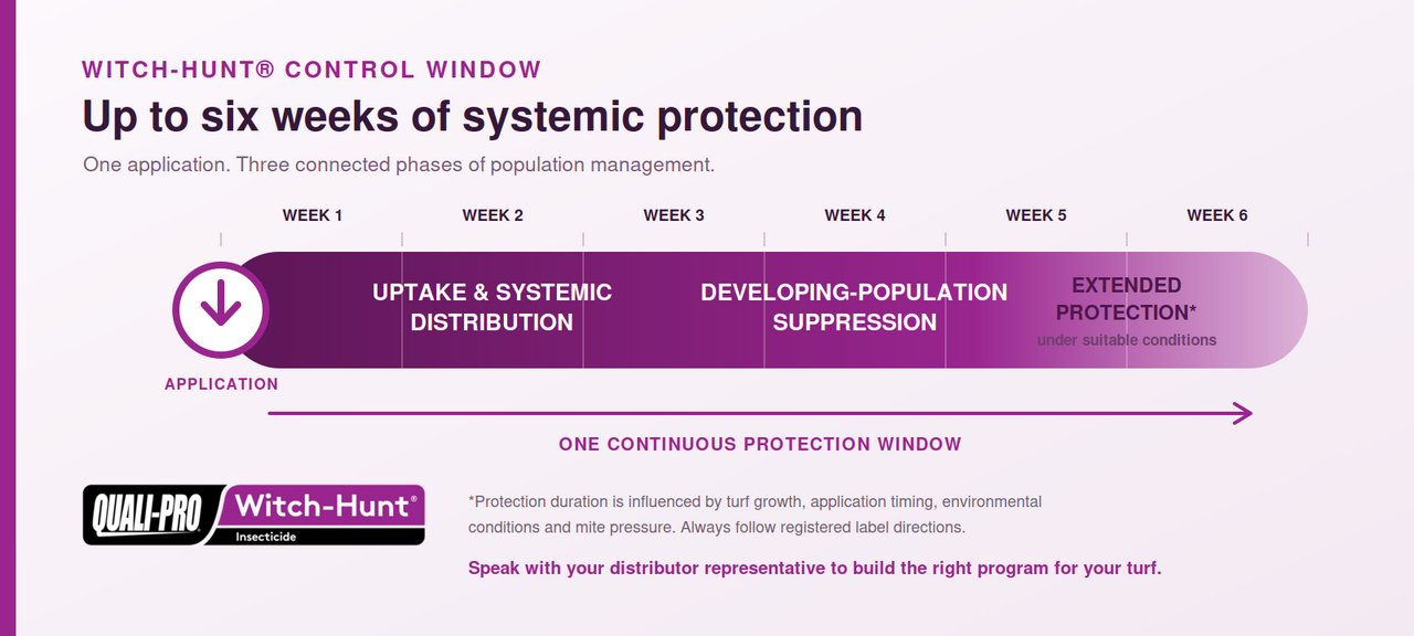 Witch-Hunt_6-Week_Protection_Timeline.png
