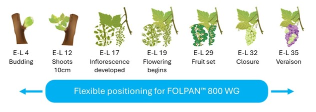 Folpan® 800 WG | ADAMA Australia