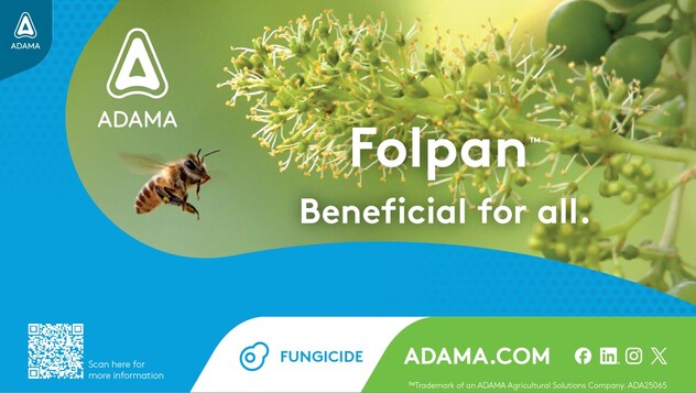 Folpan hero image website