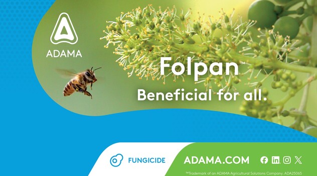 Folpan ad image