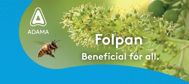 folpan