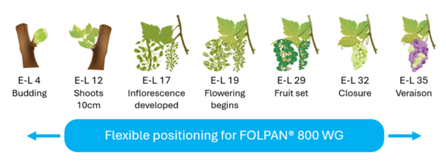 Folpan infographic - registered.png