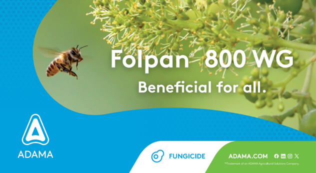 Folpan registered image.png