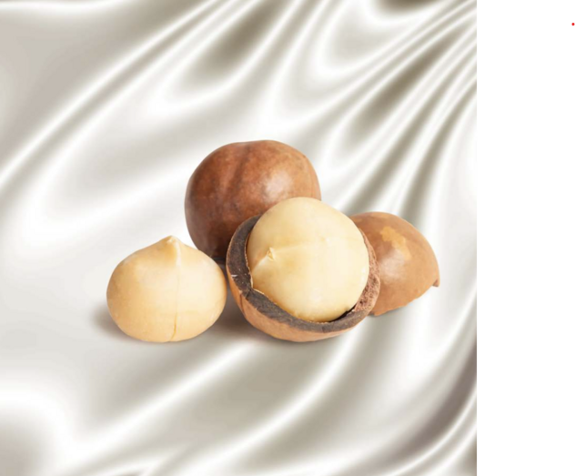 macadamia hero.png