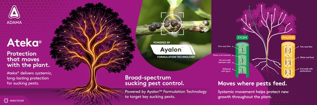 Ateka Tree carousel infographic