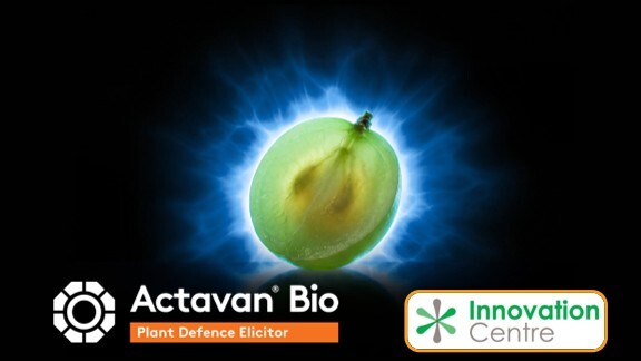 Actavan hero image and logo.jpg