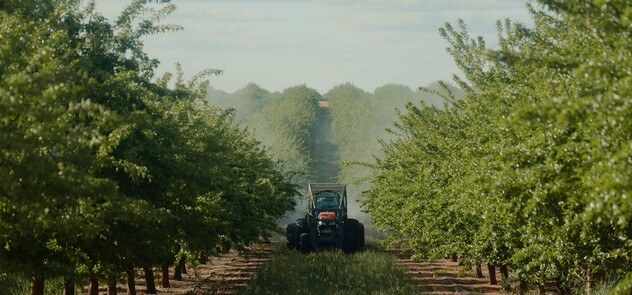 Almonds rows sprayer 2.jpg