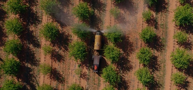 Almonds rows sprayer.jpg