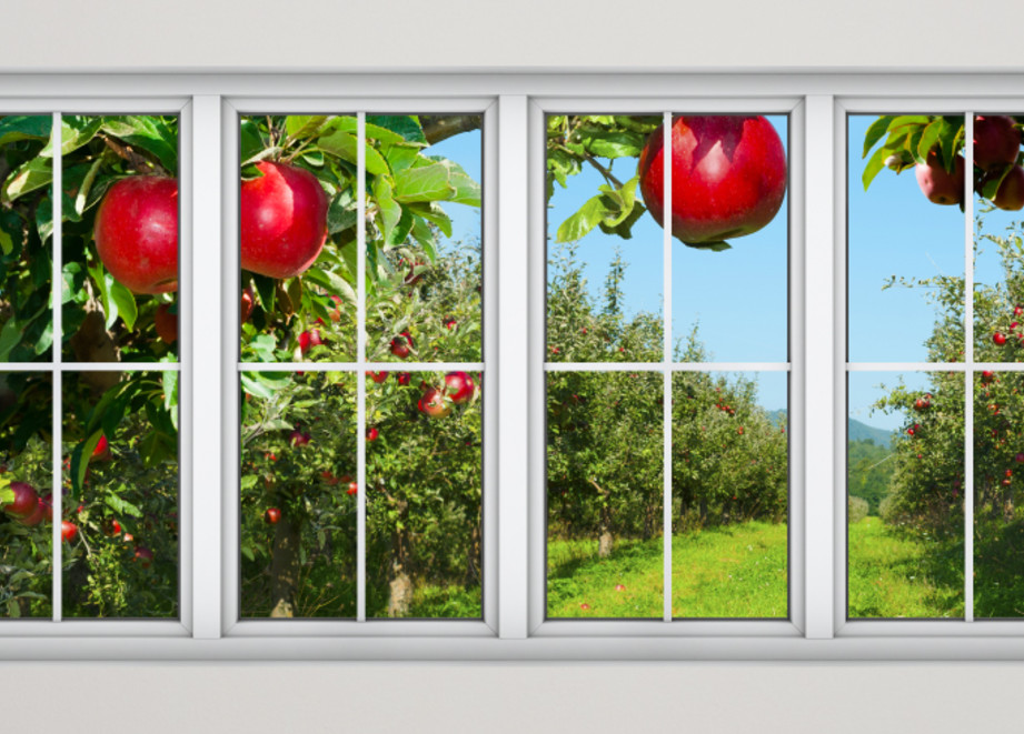 BREVIS WEB BANNER