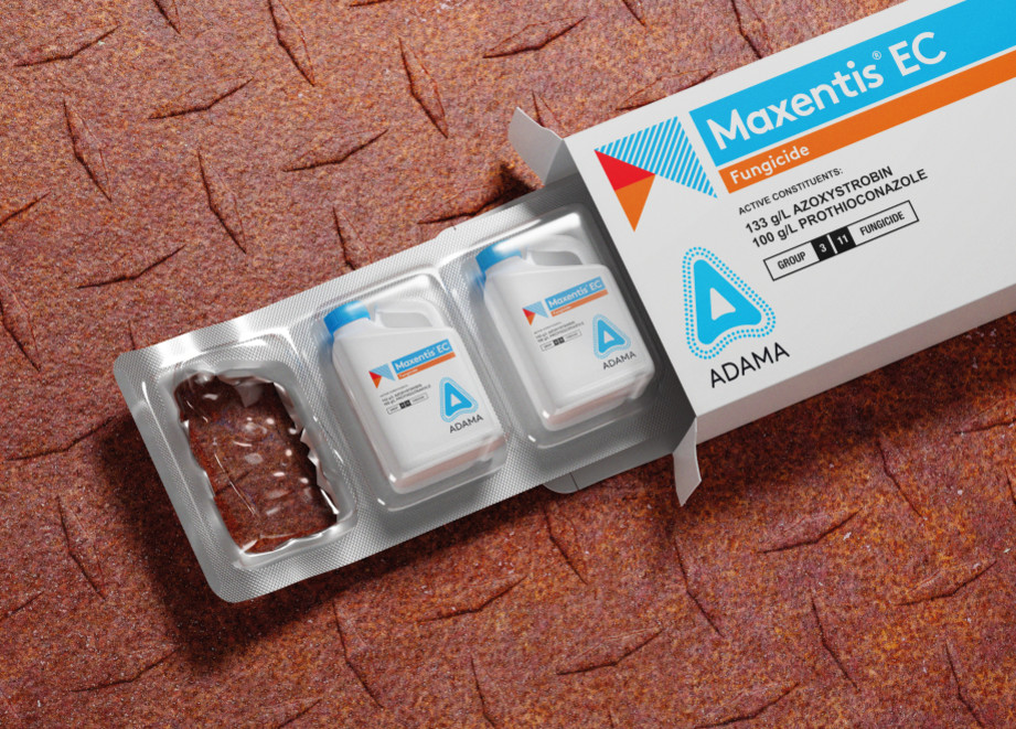 Maxentis Web Banner