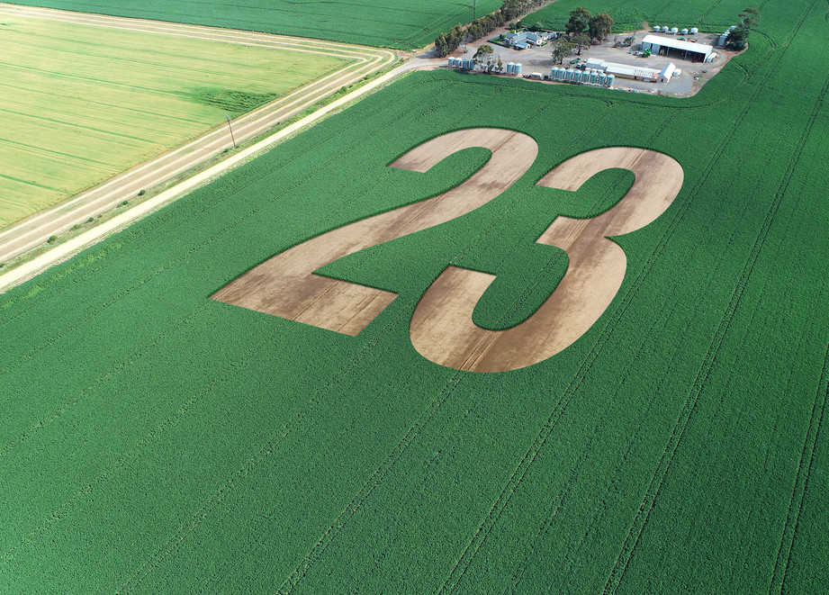 Adama Ultro 23 in paddock