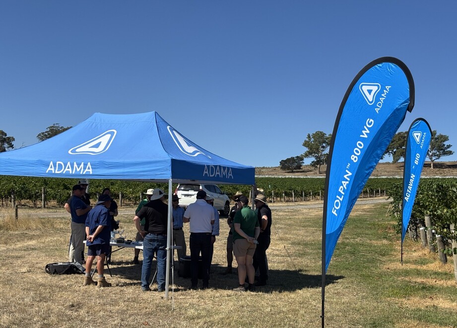 Advisors discussing the fit of folpet in their viticulture program at Faraday
