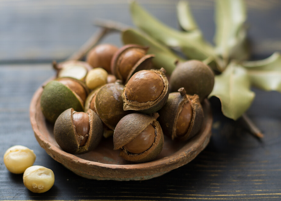 macadamias hero