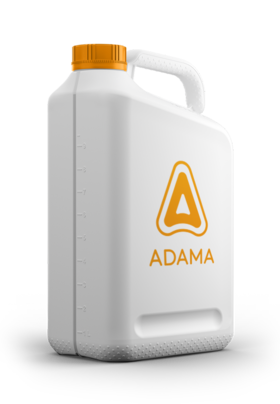 Orange bottle