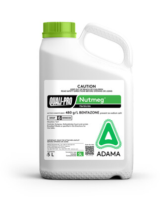 Nutmeg 5L Bottle 