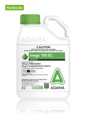 INEGO 5L_packshot_300x402.jpg