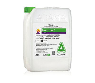 Marathon_packshot_560x492 updated.jpg