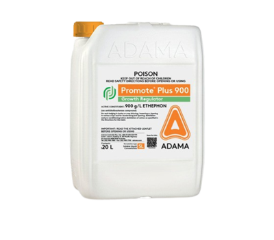 Promote Plus Packshot