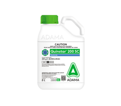 Quinstar-5L-packshot_560x492.jpg