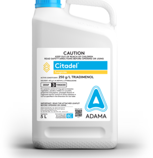 Citadel Fungicide 5L