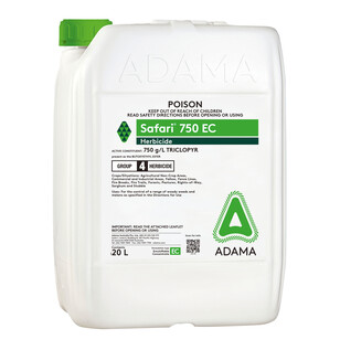 Safari packshot