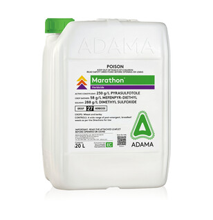 Marathon_packshot_560x492 updated.jpg