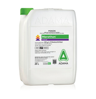 Marathon_packshot_560x492