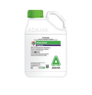 mandate herbicide packshot