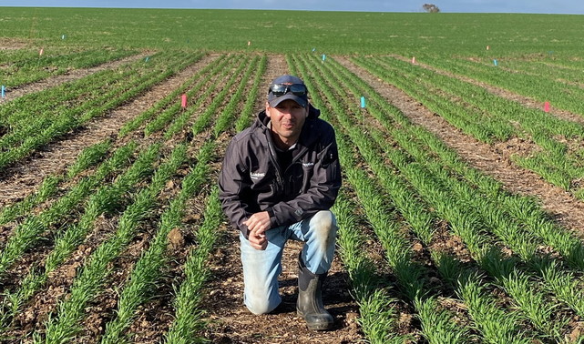 Jake Rademacher, Agronomist with Growers Supplies