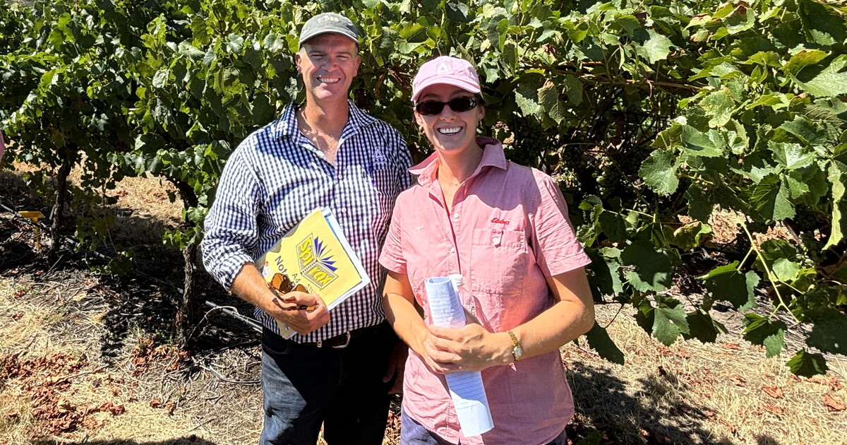 Highly anticipated new multi-site grape fungicide ticks all boxes ...