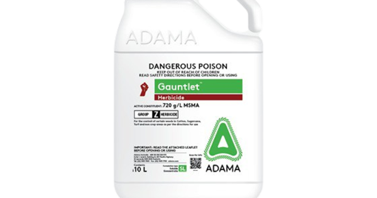 Gauntlet ADAMA Australia