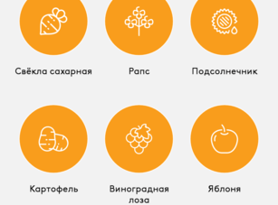 мобильный каталог1