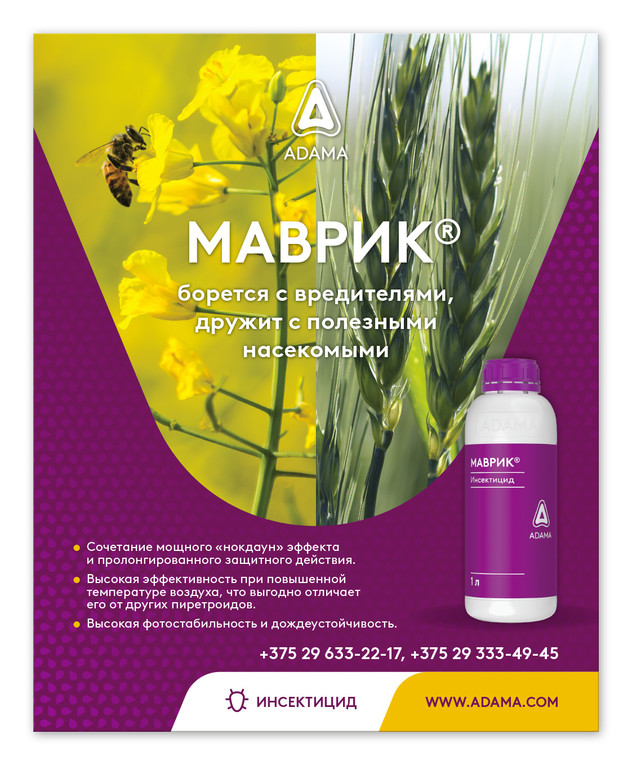 Маврик реклама
