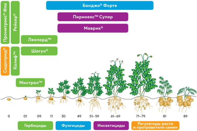 Система защиты картофеля