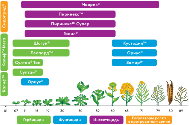 Система защиты ярового рапса