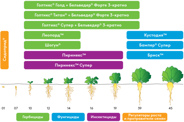 Система защиты сахарной свеклы ADAMA