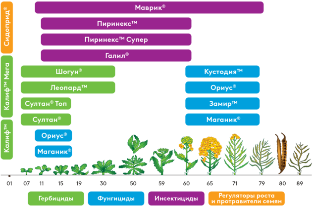 Система защиты ярового рапса