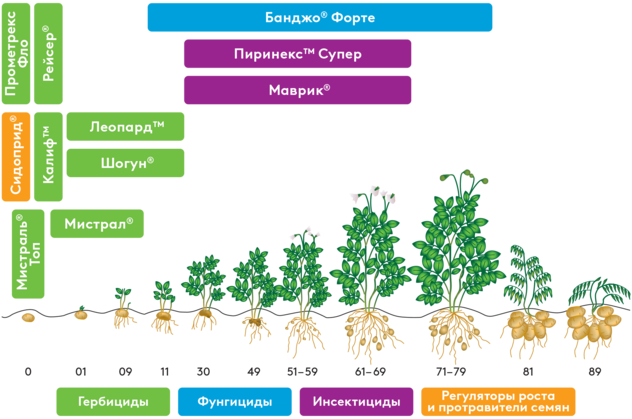 Система защиты картофеля