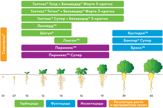 Система защиты сахарной свеклы ADAMA