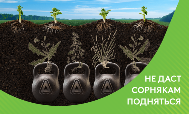 Мистраль Топ