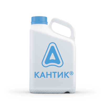 Кантик