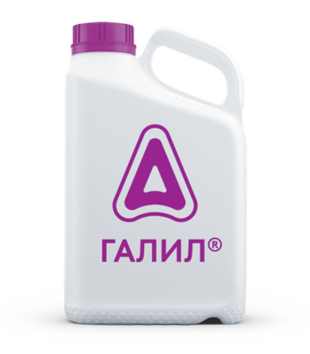 Галил